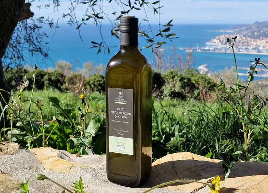 First-class extra virgin olive oil 2025