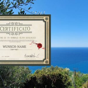 Olive tree adopt certificate