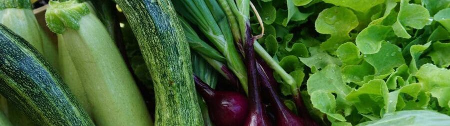 Organic Farm San Martino in Imperia